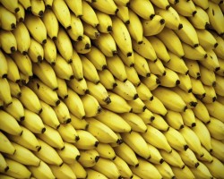 Объем рынка бананов в России в 2015 г. сократился на 4%