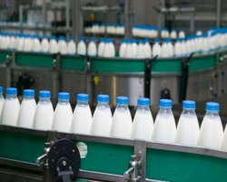 Продажи молока растут