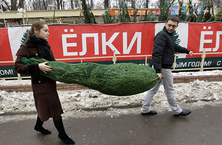 Почти 500 елочных базаров откроется в Подмосковье в декабре
