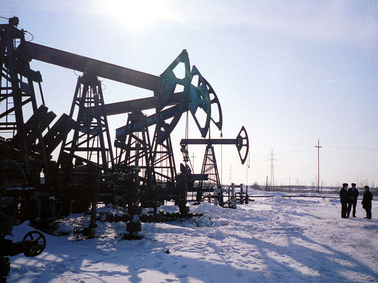 Ценовой потолок на нефть из России вынудит Европу согреваться дровами - МК